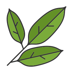 Leaf icon