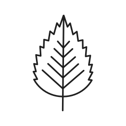 Foliage icon