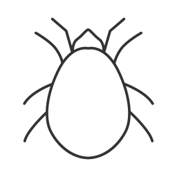 Insect icon