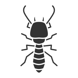 käfer icon
