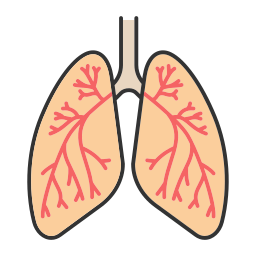 Lung icon