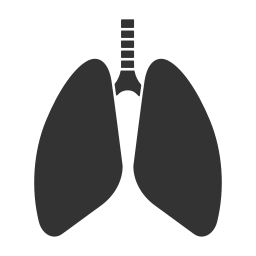 organe Icône