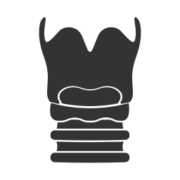trachea icona