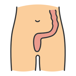 Intestine icon