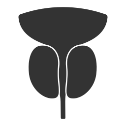 Urethra icon