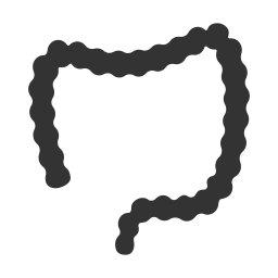 organo icono