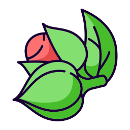 Herb icon