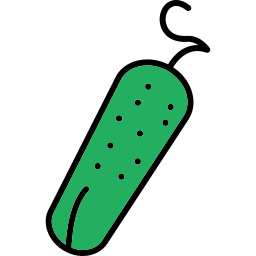 Pickle icon