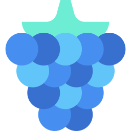 Fruit icon