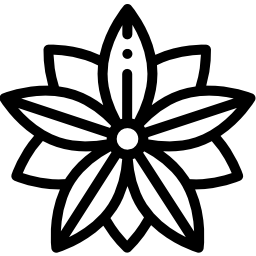 포인세티아 icon