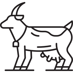 Animal icon