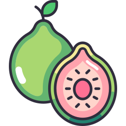 Fruit icon