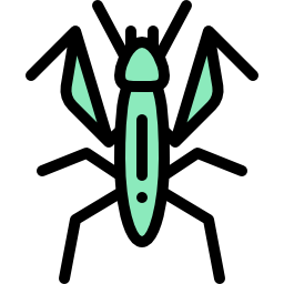 Mantis icon