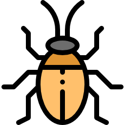 Insect icon