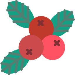 Berries icon