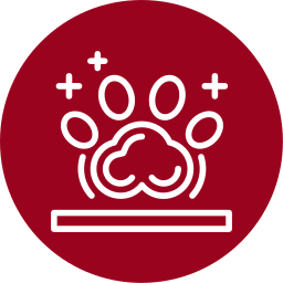 Pet paw icon