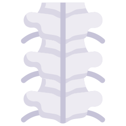 osso icona