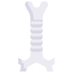 Biology icon