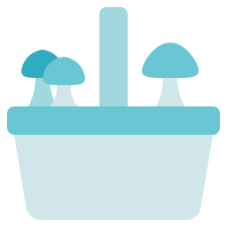 champignon Icône