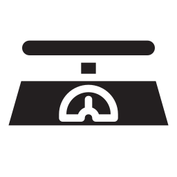 Scale icon