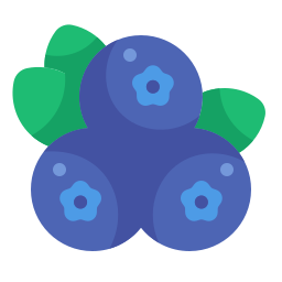 Berry icon