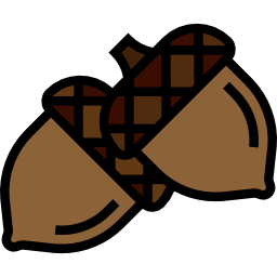 Acorn icon