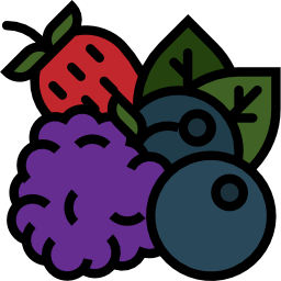 beeren icon