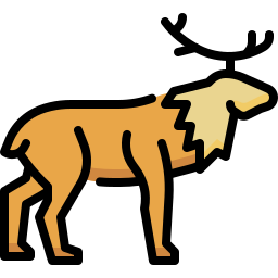 Animal icon