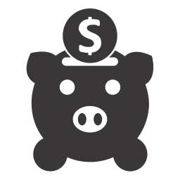 Money icon