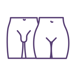 organo reproductivo icono