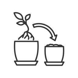 묘목 재배 icon