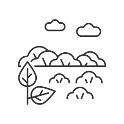 부시 재배 지역 icon