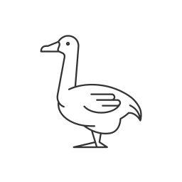 Geese growing icon