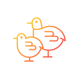 Poultry raising icon