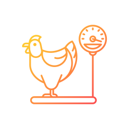 Domestic bird icon