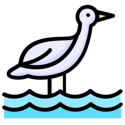 해변 icon