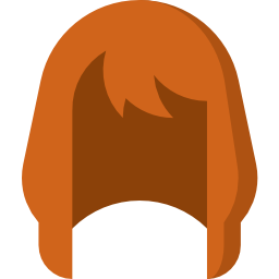 Wig icon