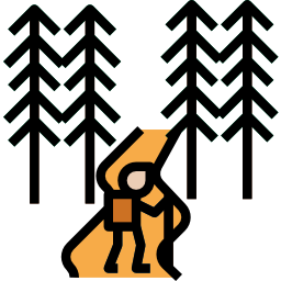 Hiking icon