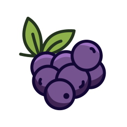 Fruit icon