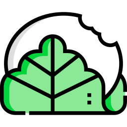 kashiwamochi icon