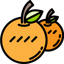 Orange icon