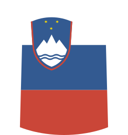 Shirt icon