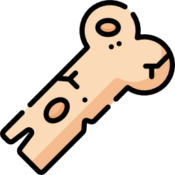 Bone icon