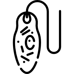 euglena icono