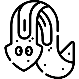 planaria icona