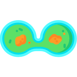 Amoeba icon