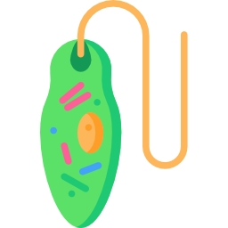 euglena icona