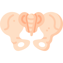 Pelvis icon