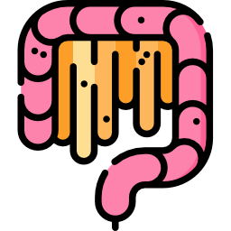 intestino icono