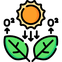 광합성 icon